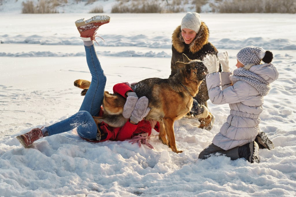 Walking the Dog in Cold Weather: Yes, Your Kids Can Do This
